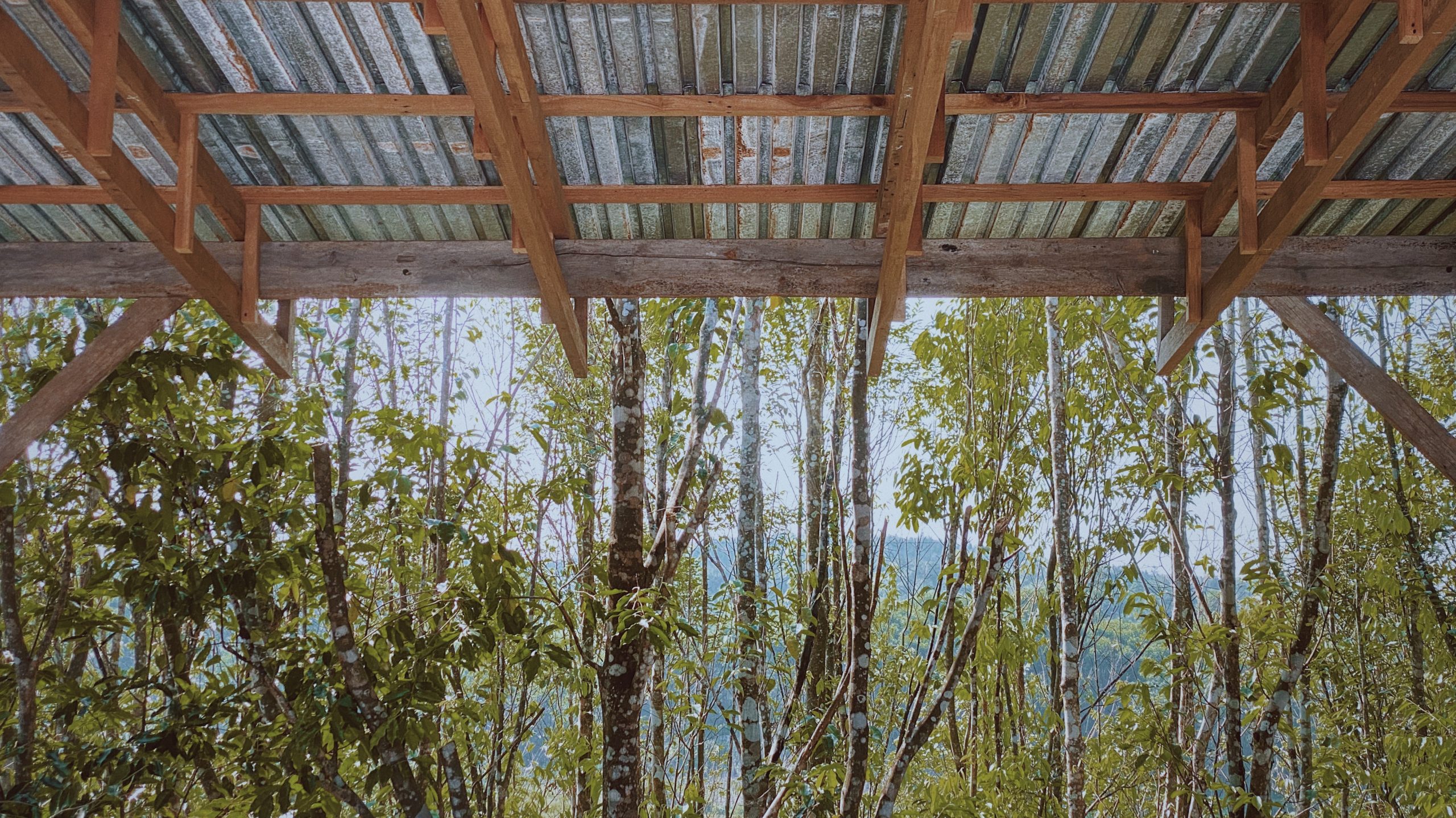 ruri hill alema architecture